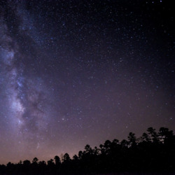 Night Sky Photo Example A starry night sky with trees in the distance